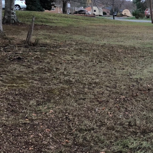 Spring Cleanup
